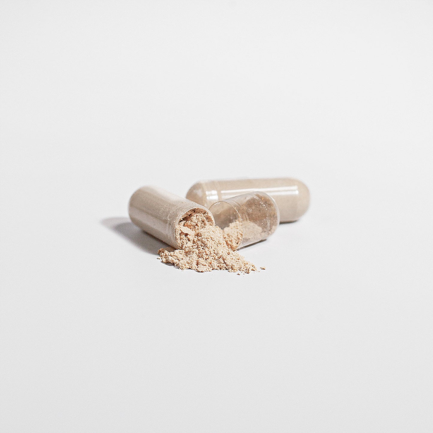 Chaga Mushroom Capsules for Antioxidant & Immune Support