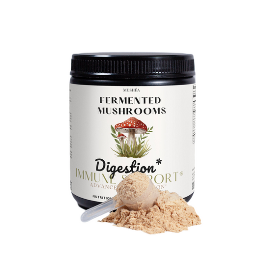 Fermented Mushroom Superblend Powder for Gut Health & Immunity